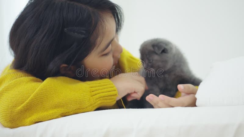 Grosse fille asiatique jouant avec un chaton mignon, jolie fille tenant un chat à l'intérieur banque de vidéos