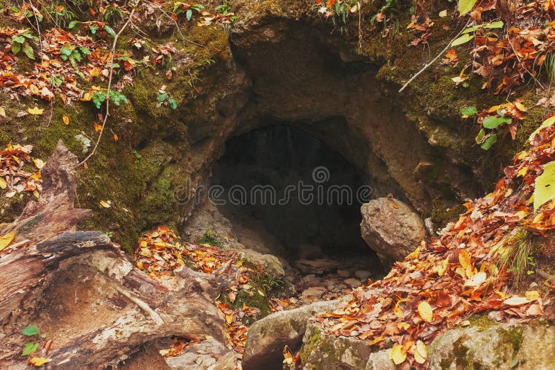 Grosser Höhleneingang im Herbstwald