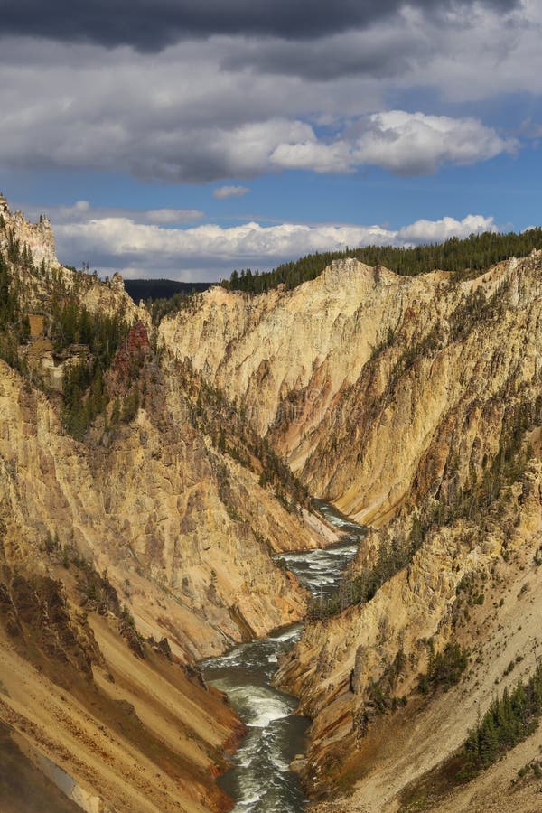 Grote canion in yellowstone nationaal park stock foto Grote canion in yellowstone nationaal park stock foto