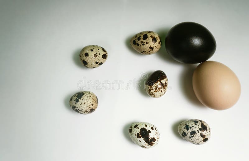 Op risico baan Beeldhouwwerk Grote Eieren En Kleine Eieren Stock Afbeelding - Image of eten, mand:  212671671