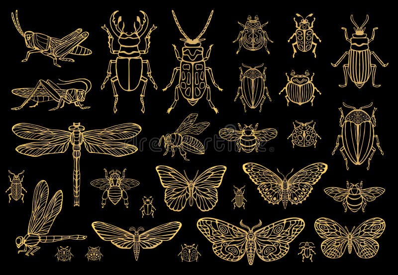 Big hand drawn golden line set of insects bugs, beetles, honey bees, butterfly, moth, bumblebee, wasp, dragonfly, grasshopper. Silhouette vintage gold silver sketch style vector illustration. Big hand drawn golden line set of insects bugs, beetles, honey bees, butterfly, moth, bumblebee, wasp, dragonfly, grasshopper. Silhouette vintage gold silver sketch style vector illustration