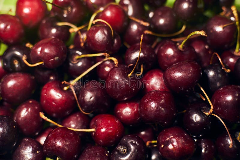 Grote inzameling van rode kersen Achtergrond van rijpe kersen stock fotografie Grote inzameling van rode kersen Achtergrond van rijpe kersen stock fotografie