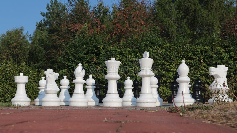 muis Schouderophalend Kietelen Grote Schaakstukken Op Een Schaakbord in De Tuin Stock Foto - Image of  raad, schaak: 125160996