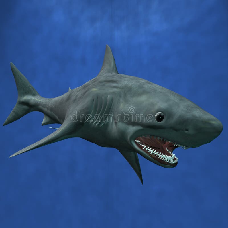 3 D Computer Render of an Great White Shark. 3 D Computer Render of an Great White Shark