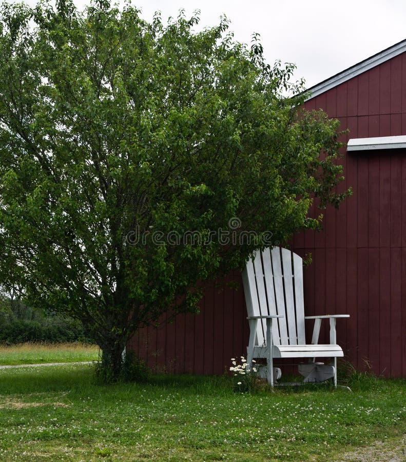 Overgrown, white lawn chair in front of simple red barn under green tree