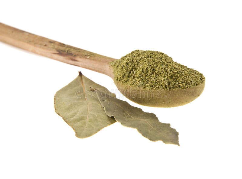 Ground Bay Leaf Isolated on White Background Stock Image Image of