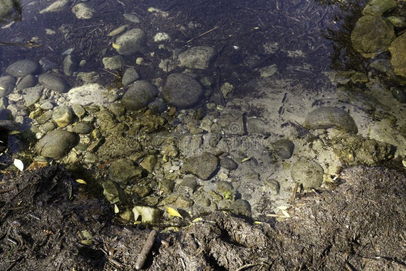 Earth Is Immersed In Water, Among The Clouds Against The Sky.Elements