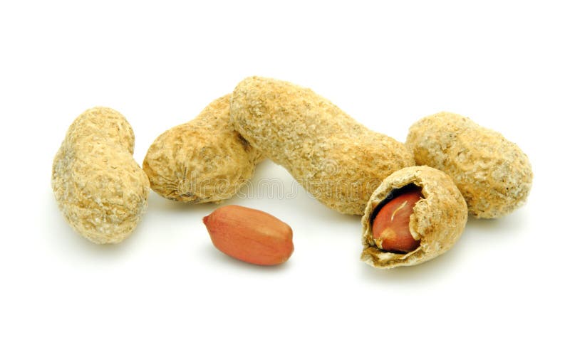 Ground nuts stock image. Image of food, groundnut, close 16084023