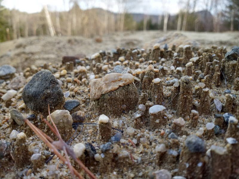 Ground Rising As it Freezes Stock Image Image of rising, nature