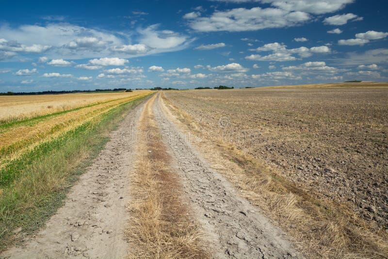 Ground Road through Fields, White Clouds on the Sky Stock Image Image