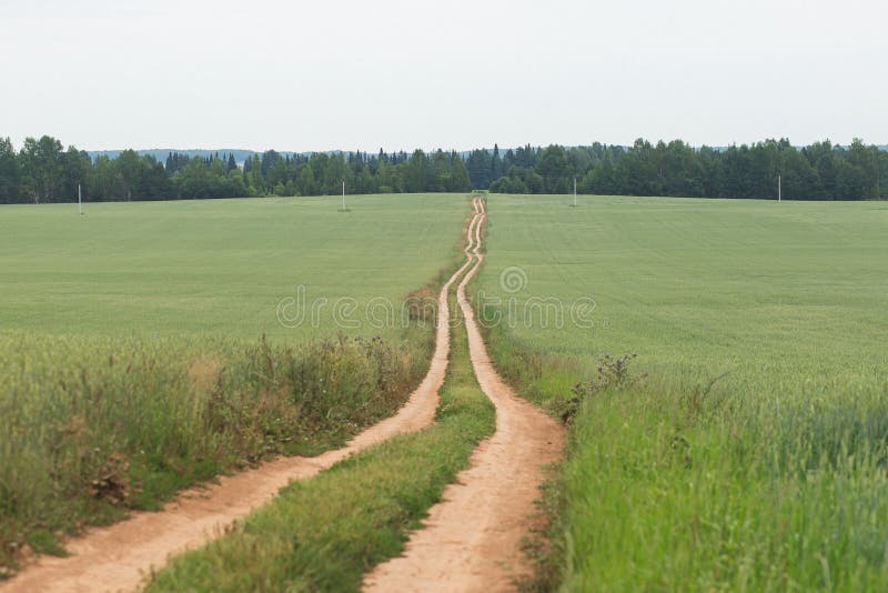 Ground Road in a Green Field in Cloudy Weather, Perspective Stock Photo