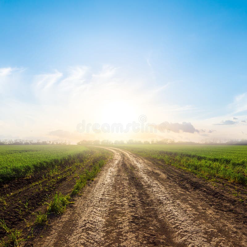 Photo Ground rural road in the middle of tropical jungle