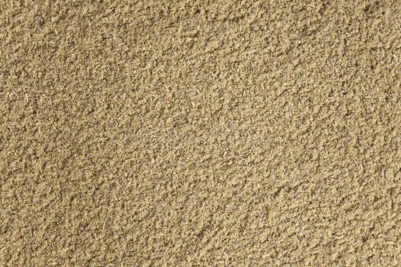 Ground Sage Leaves stock photo. Image of culinary, ground 34772248