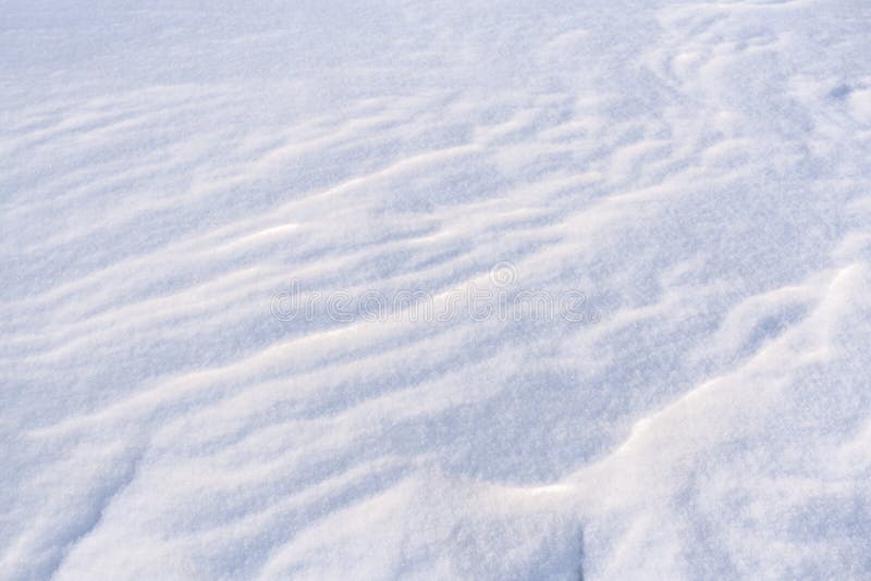 Ground Surface Covered with Fluffy Freshly Fallen White Snow. Stock