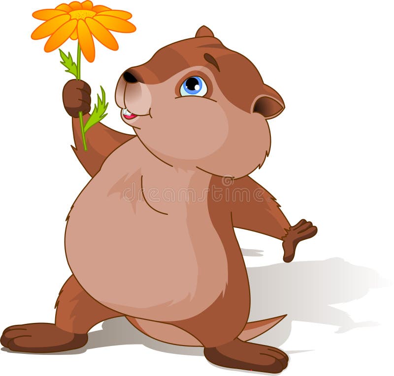 A cartoon groundhog holding a first spring flower. A cartoon groundhog holding a first spring flower.