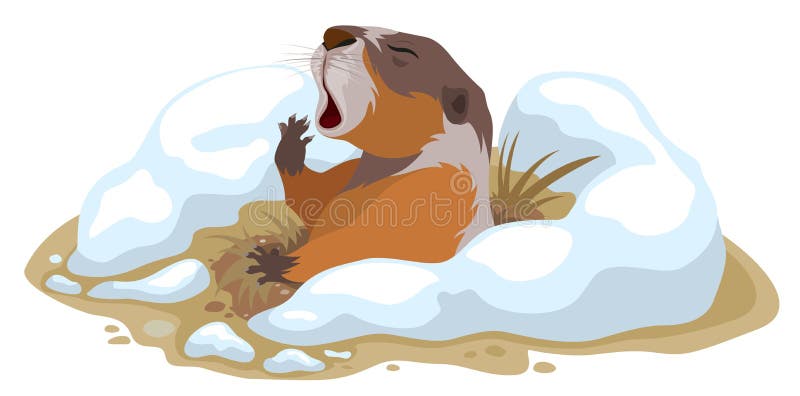 Groundhog Day. Marmot climbed out of hole and yawns. Illustration in vector format