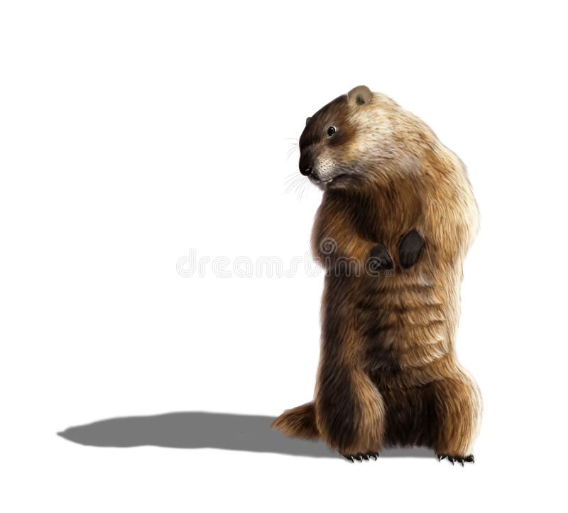 Digital illustration of a groundhog looking at his shadow