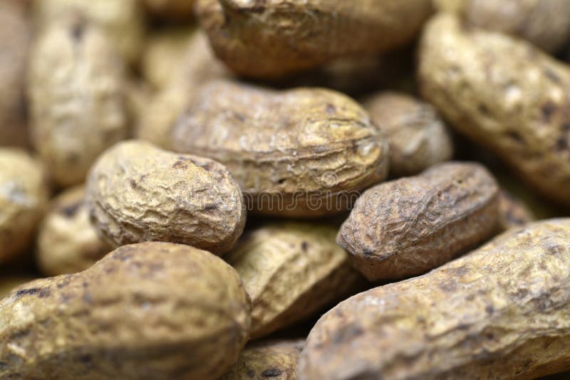 Groundnut. Unpeeled Peanuts in a White Plate Stock Image Image of