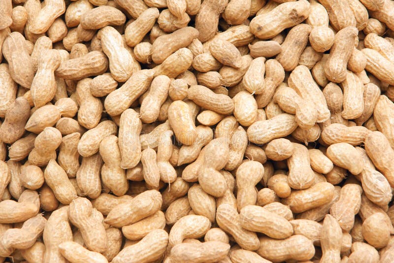 Groundnuts