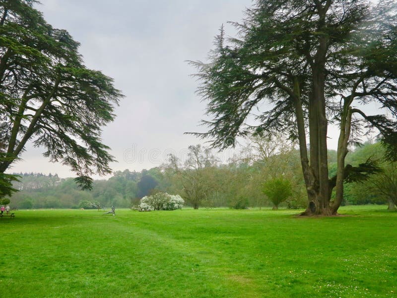 Grounds of the castle