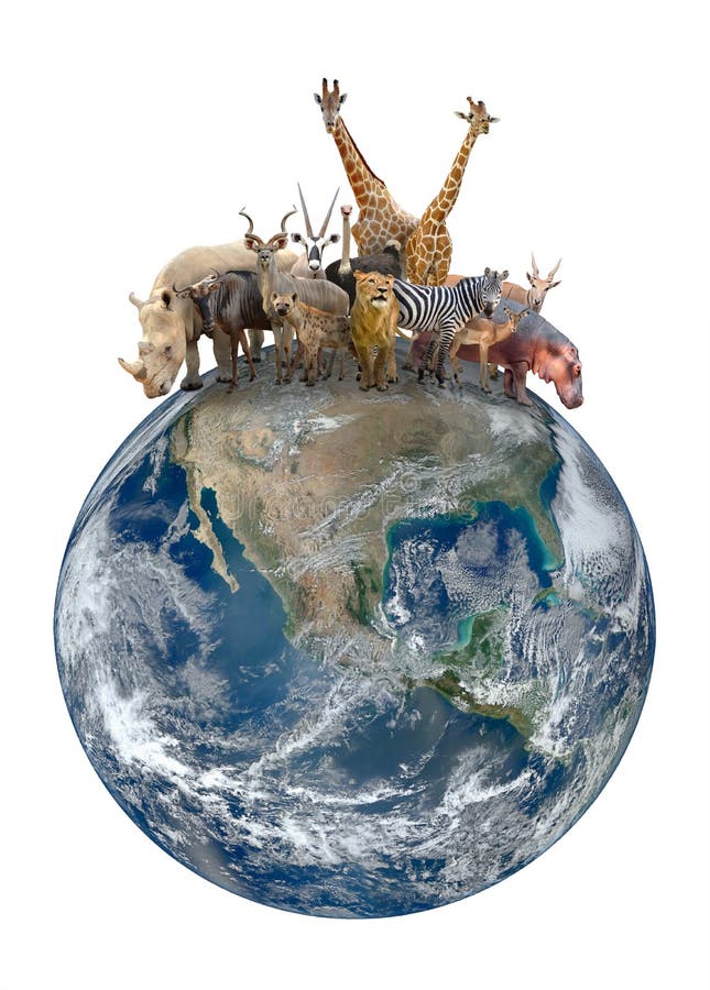 Group Of Africa Animal With Planet Earth Stock Image Image Of Oryx