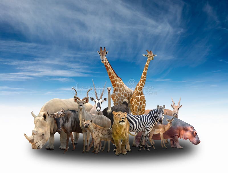 137,499 Animals Group Stock Photos - Free & Royalty-Free Stock Photos from  Dreamstime