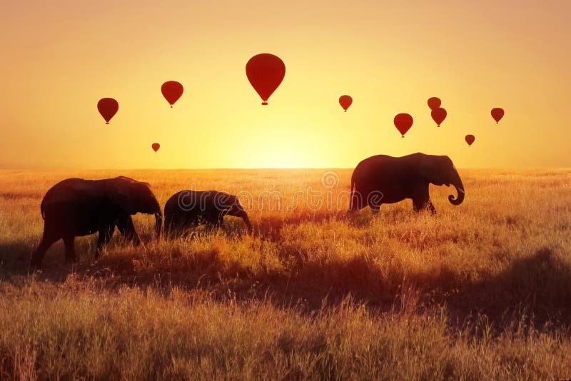 A group of African elephants against the sky with balloons at sunset. African fantastic image. Africa, Tanzania, Serengeti Nationa stock photo A group of African elephants against the sky with balloons at sunset. African fantastic image. Africa, Tanzania, Serengeti Nationa stock photo