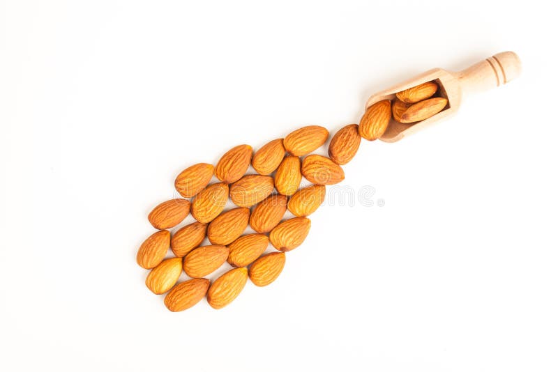 A Group of Bean Curd Tofu III Stock Photo Image of cuisine, meal