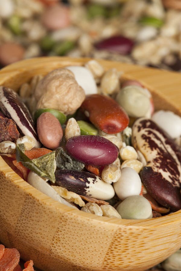 Group of Assorted Dry Beans Stock Photo Image of kidney, food 28521826