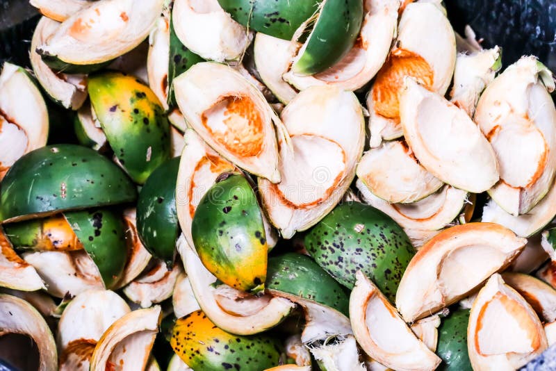 Group Betel nut fresh betel palm on wooden stock photos Group Betel nut fresh betel palm on wooden stock photos