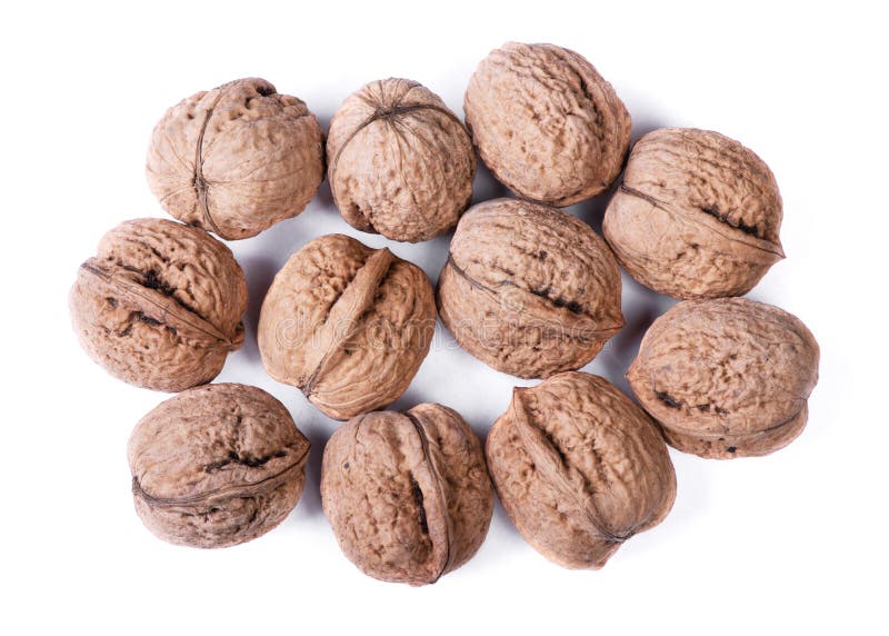 Group of big whole walnuts stock photo. Image of food 187261668