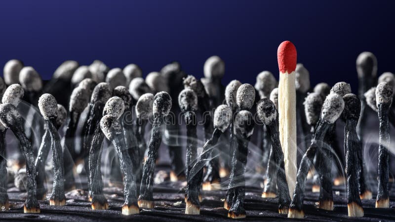 Group Of Burnt Matchsticks With One Survivor