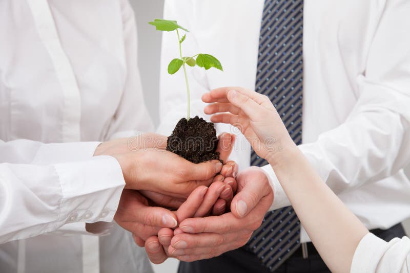 Group of business people holding a green sprout and child's hand stock photography Group of business people holding a green sprout and child's hand stock photography
