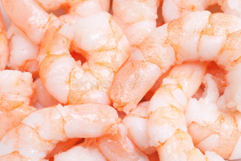 Group of cooked prepared shrimp