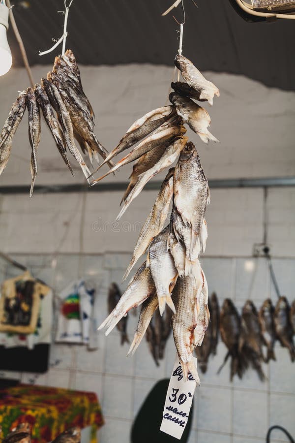 Several Dried Fish Hang on Rope Stock Image Image of delicious, breed 147034833
