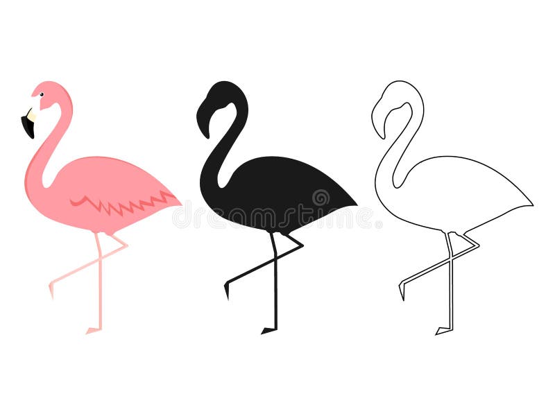 Group of Flamingo in Different Poses Cartoon Vector Illustration Isolated on White Stock Vector - Illustration of animal, african: 177967355 Group of Flamingo in Different Poses Cartoon Vector Illustration Isolated on White Stock Vector - Illustration of animal, african: 177967355