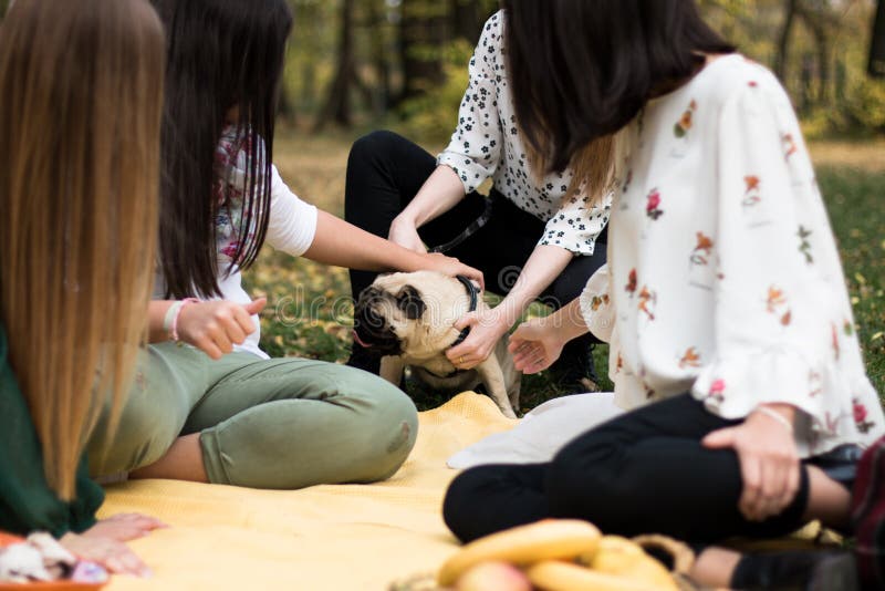 Group of four women having a fun picnic in the park