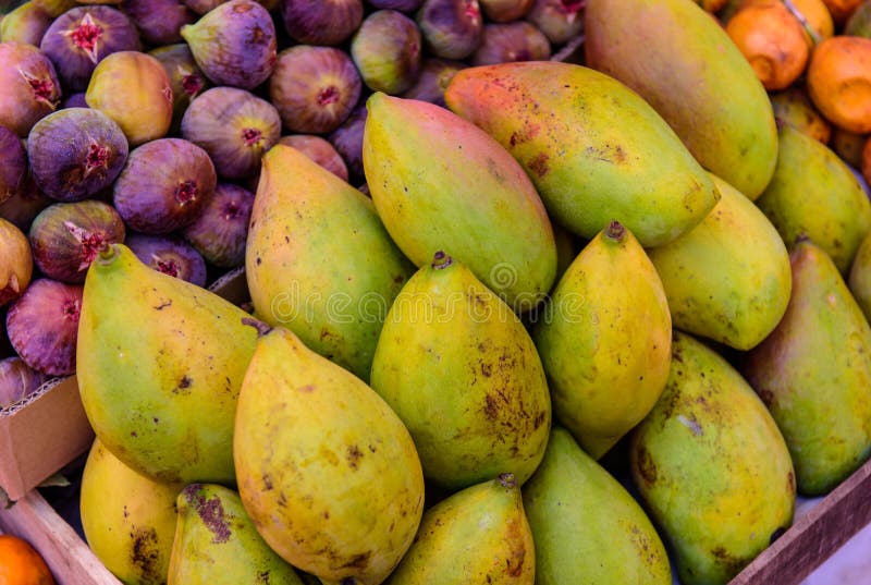 Group of fresh mango and figs royalty free stock image Group of fresh mango and figs royalty free stock image