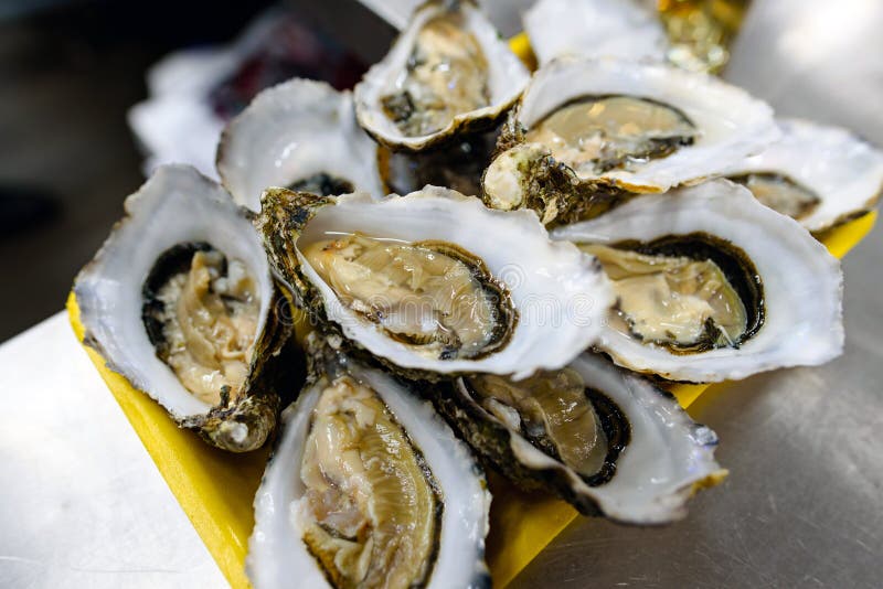 Group of fresh vegetables stock image. Image of food 77629947