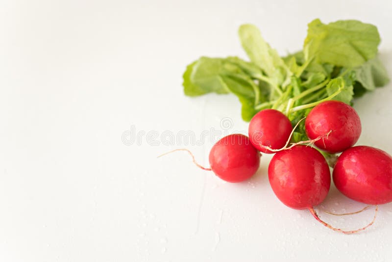 Group of fresh radishes on white background