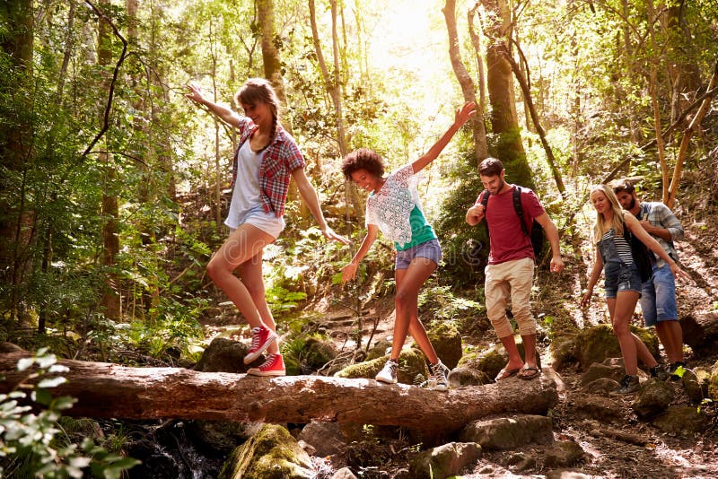 Group Of Friends On Walk Balancing On Tree Trunk In Forest