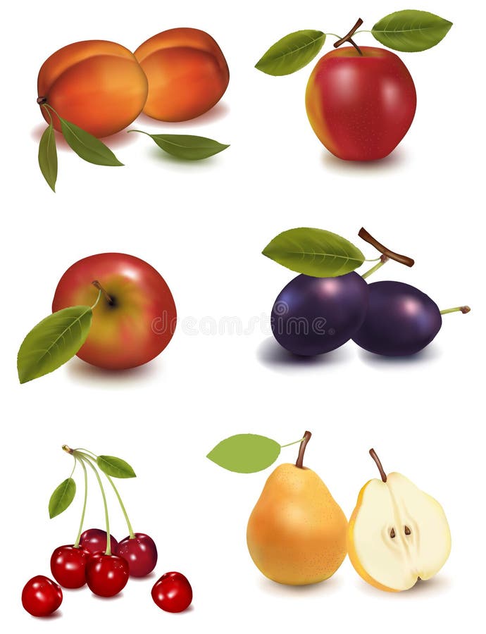 A group of fruit.