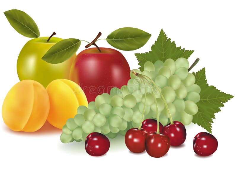 A group of fruit. stock vector. Illustration of mineral 15421230