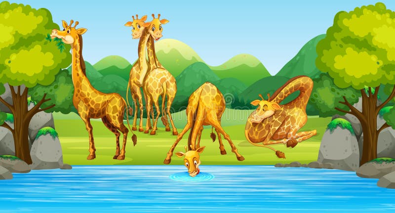 Giraffe Drinking Water Jungle Stock Illustrations – 10 Giraffe Drinking Water Jungle Stock Illustrations, Vectors & Clipart - Dreamstime Giraffe Drinking Water Jungle Stock Illustrations – 10 Giraffe Drinking Water Jungle Stock Illustrations, Vectors & Clipart - Dreamstime