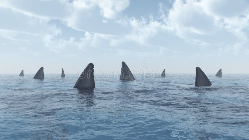 Group of great white sharks vector illustration