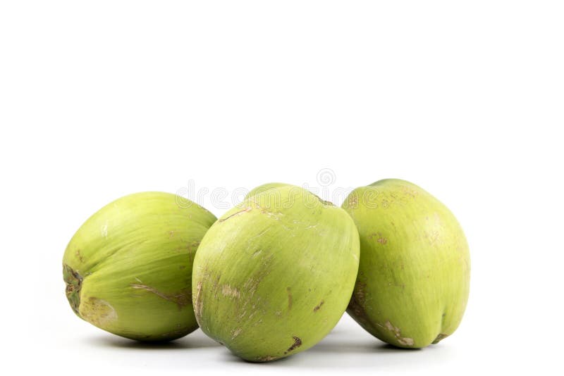 Group of Green Coconut Fruits Stock Photo Image of group, white 27900366