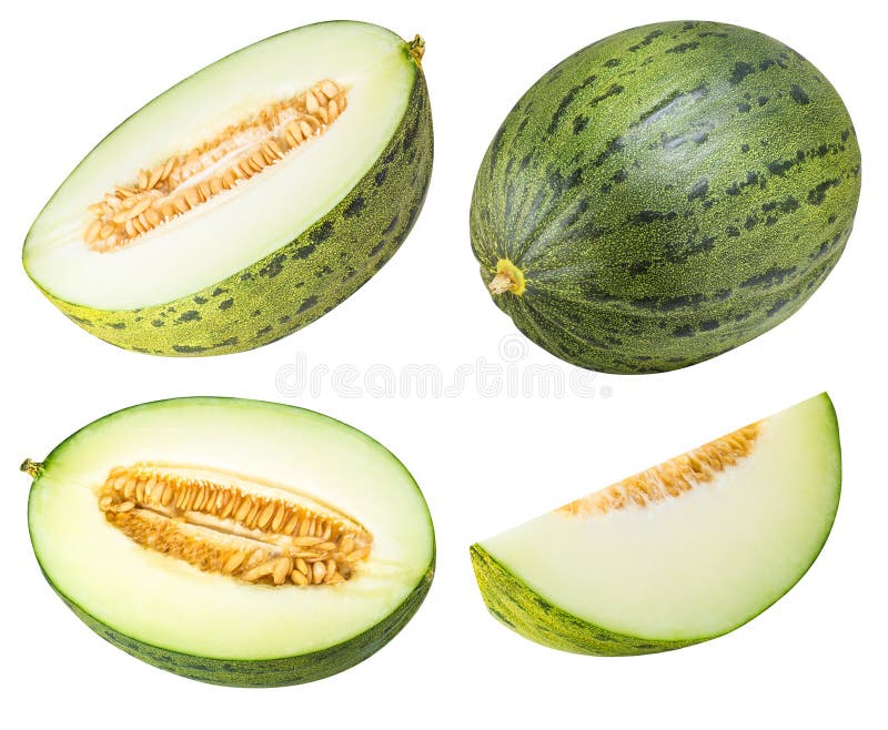 Group of Green Melons Isolated on White Background Stock Image Image