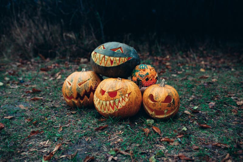 Group of Halloween Pumpkins with a Carved Face Lying on the Ground in a ...