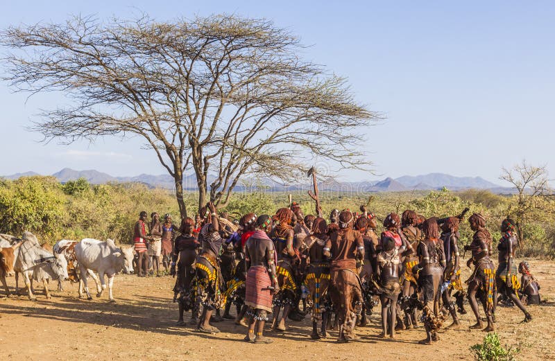 Hamer woman's back after being whipped at a bull jumping ceremony near  Turmi in the Omo Valley, Stock Photo, Picture And Rights Managed Image.  Pic. T76-2167928