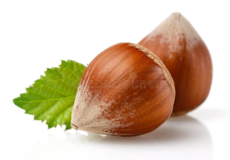 Group Of Hazelnuts With Green Leaf Isolated Stock Photo Image Of